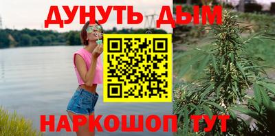 ГАЛЛЮЦИНОГЕННЫЕ ГРИБЫ Вязники