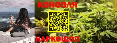 ГАЛЛЮЦИНОГЕННЫЕ ГРИБЫ Вязники