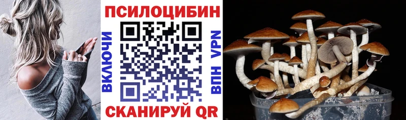 Псилоцибиновые грибы MAGIC MUSHROOMS  Мончегорск 