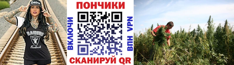 Каннабис OG Kush  omg маркетплейс  Мончегорск  где можно купить  